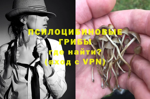 не бодяженный Алзамай