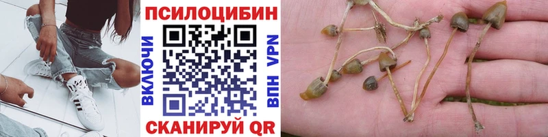 Галлюциногенные грибы мицелий Менделеевск